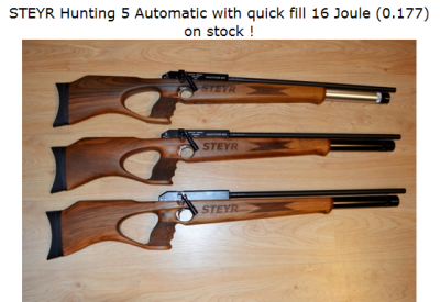 Steyr Auto 5.png